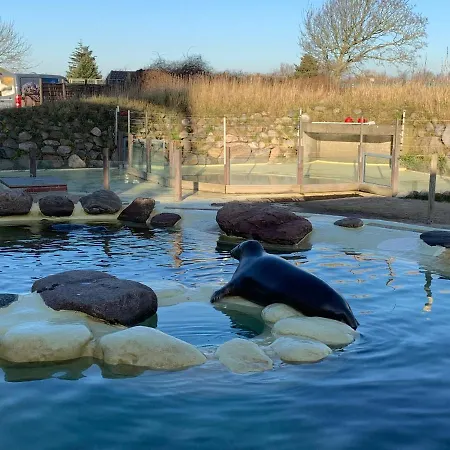 Дом отдыха Auszeit