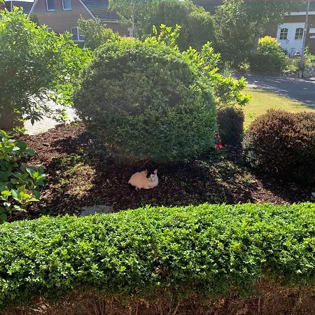 Auszeit Дом отдыха *