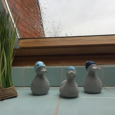 Hébergement de vacances Auszeit Friedrichskoog