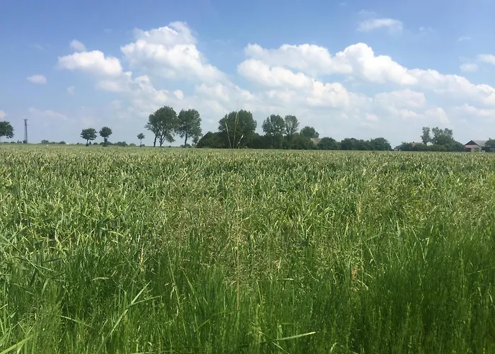 Vakantiehuis Auszeit *